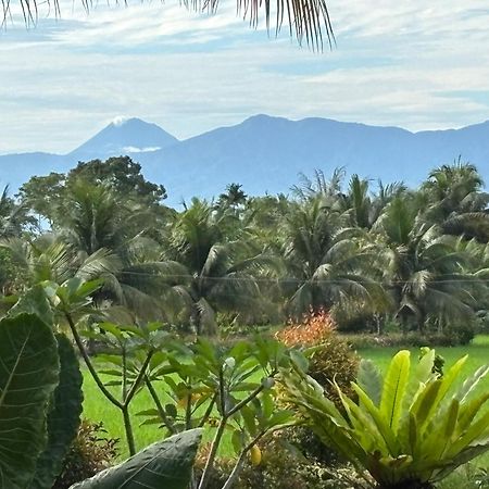 Sumatra Expedition Lodge بوكيت لاوانج المظهر الخارجي الصورة
