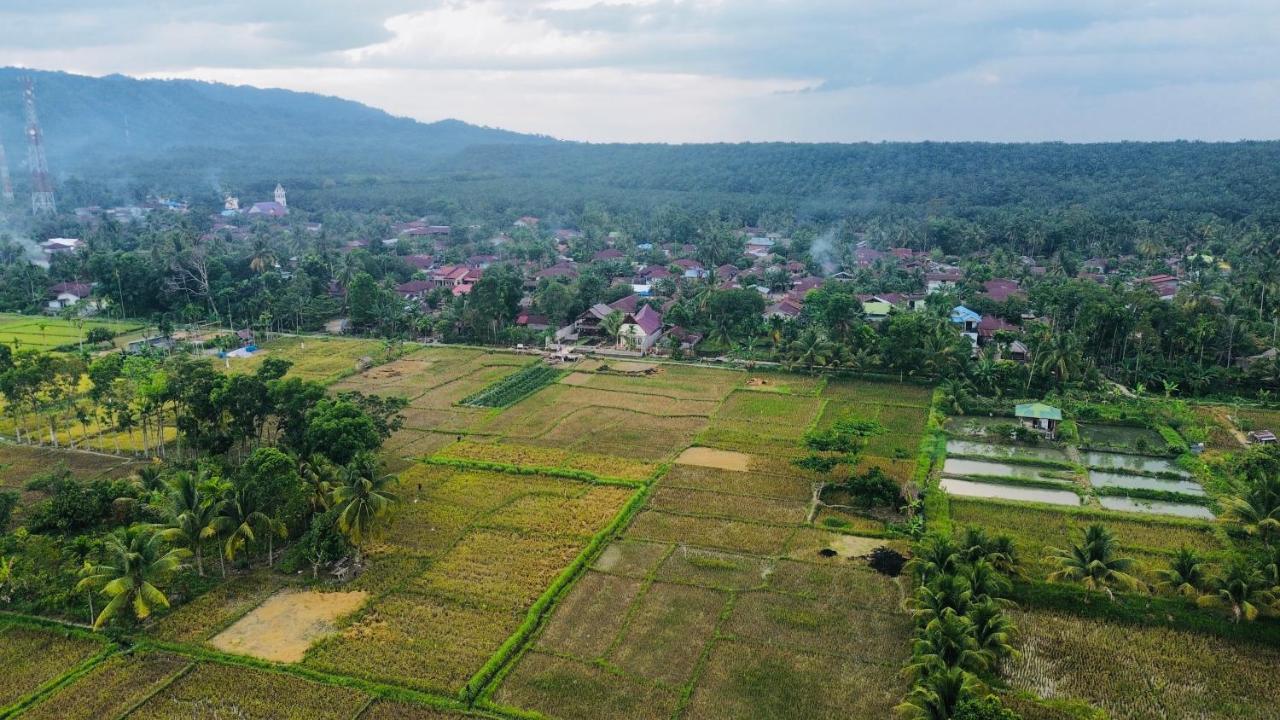 Sumatra Expedition Lodge بوكيت لاوانج المظهر الخارجي الصورة