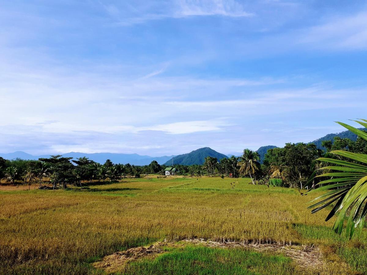 Sumatra Expedition Lodge بوكيت لاوانج المظهر الخارجي الصورة