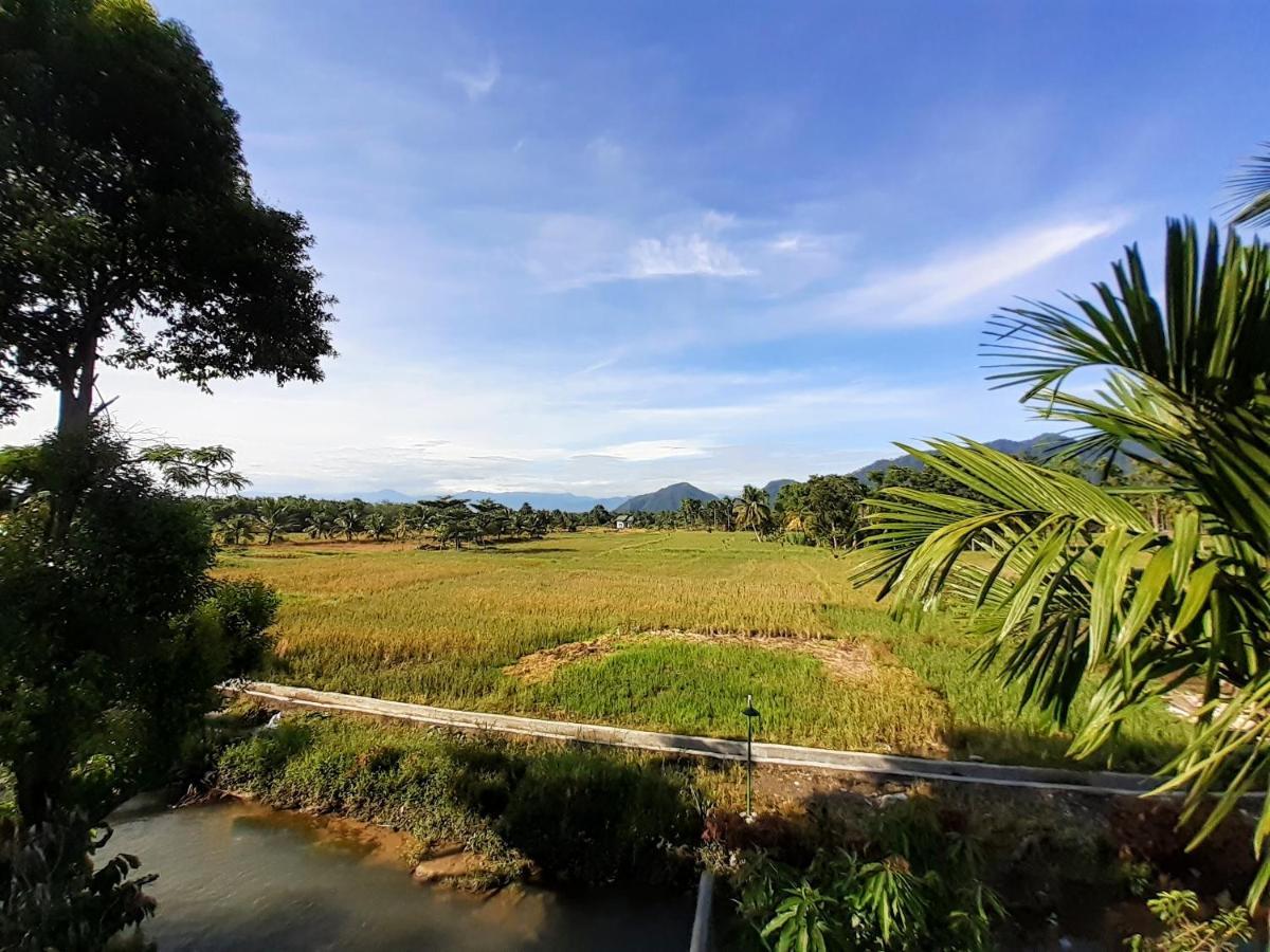 Sumatra Expedition Lodge بوكيت لاوانج المظهر الخارجي الصورة
