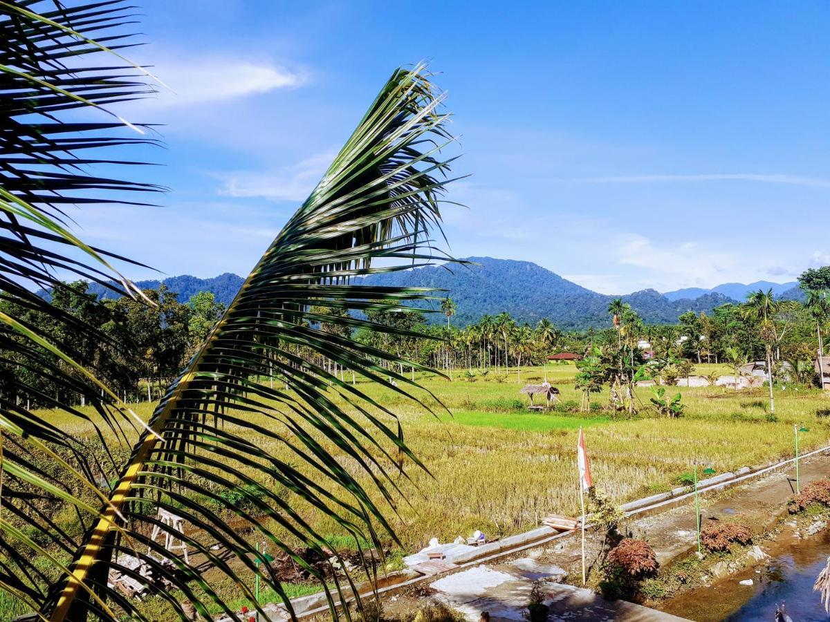 Sumatra Expedition Lodge بوكيت لاوانج المظهر الخارجي الصورة
