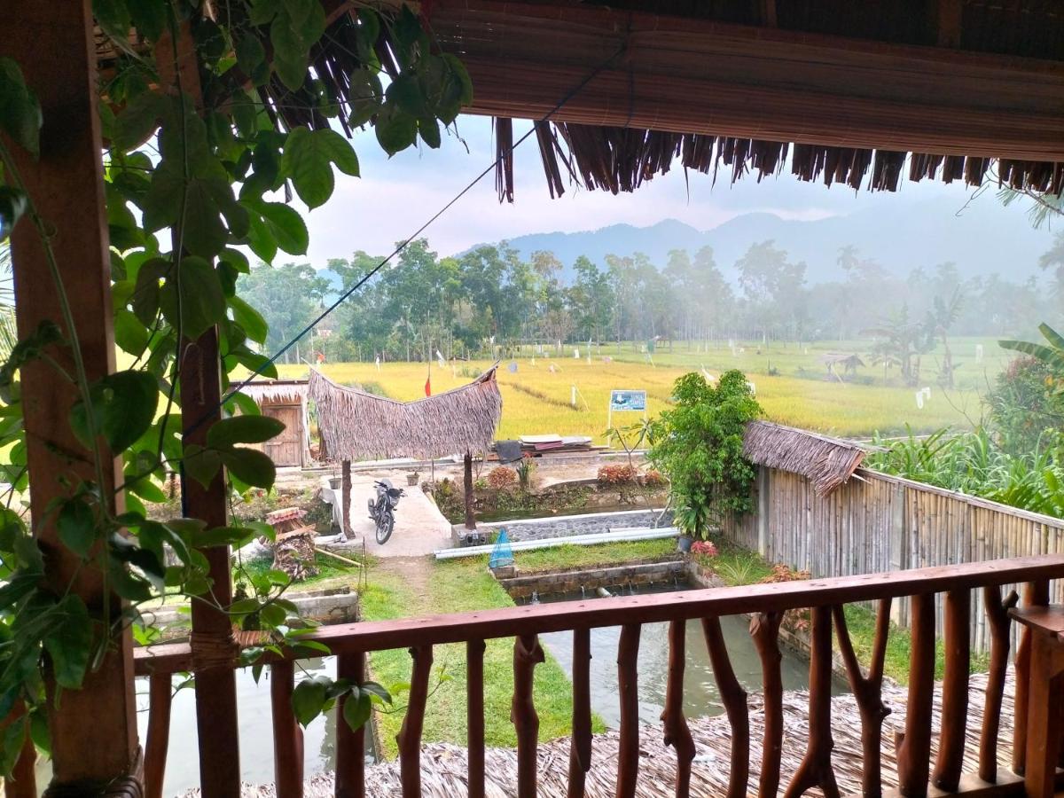 Sumatra Expedition Lodge بوكيت لاوانج المظهر الخارجي الصورة