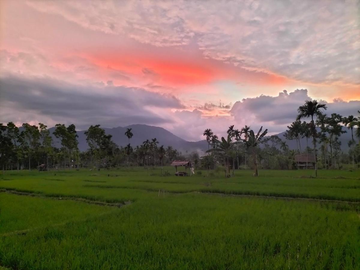 Sumatra Expedition Lodge بوكيت لاوانج المظهر الخارجي الصورة