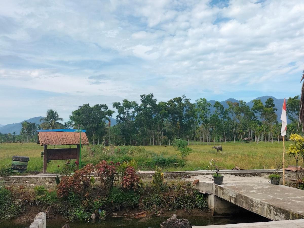 Sumatra Expedition Lodge بوكيت لاوانج المظهر الخارجي الصورة