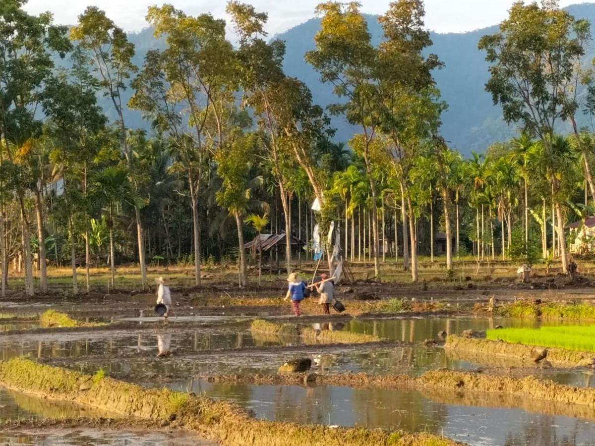 Sumatra Expedition Lodge بوكيت لاوانج المظهر الخارجي الصورة