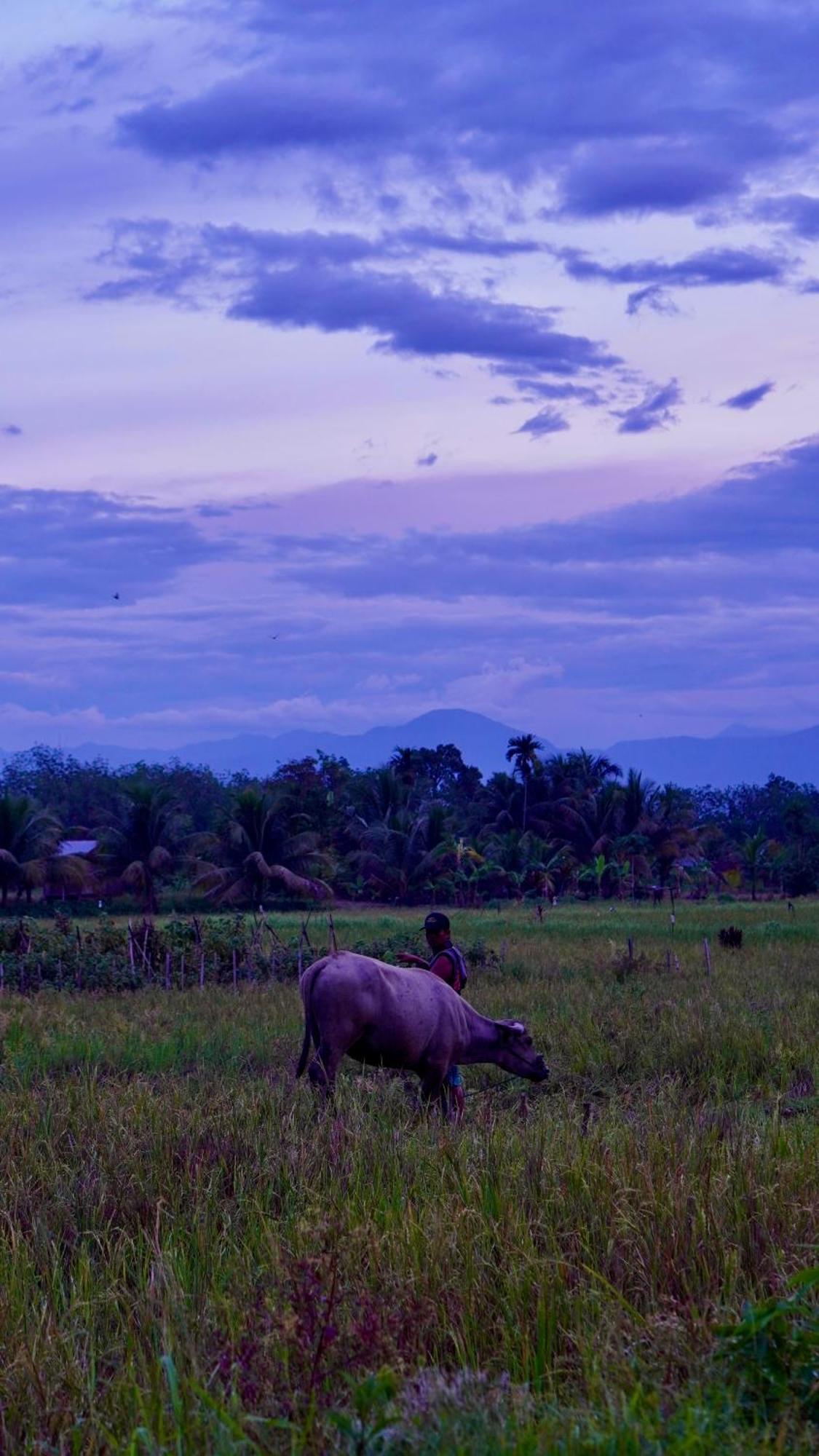 Sumatra Expedition Lodge بوكيت لاوانج المظهر الخارجي الصورة