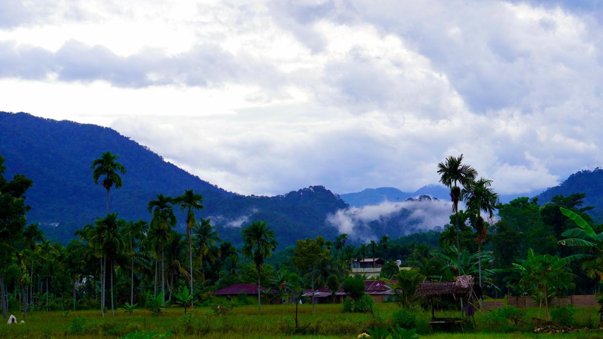 Sumatra Expedition Lodge بوكيت لاوانج المظهر الخارجي الصورة