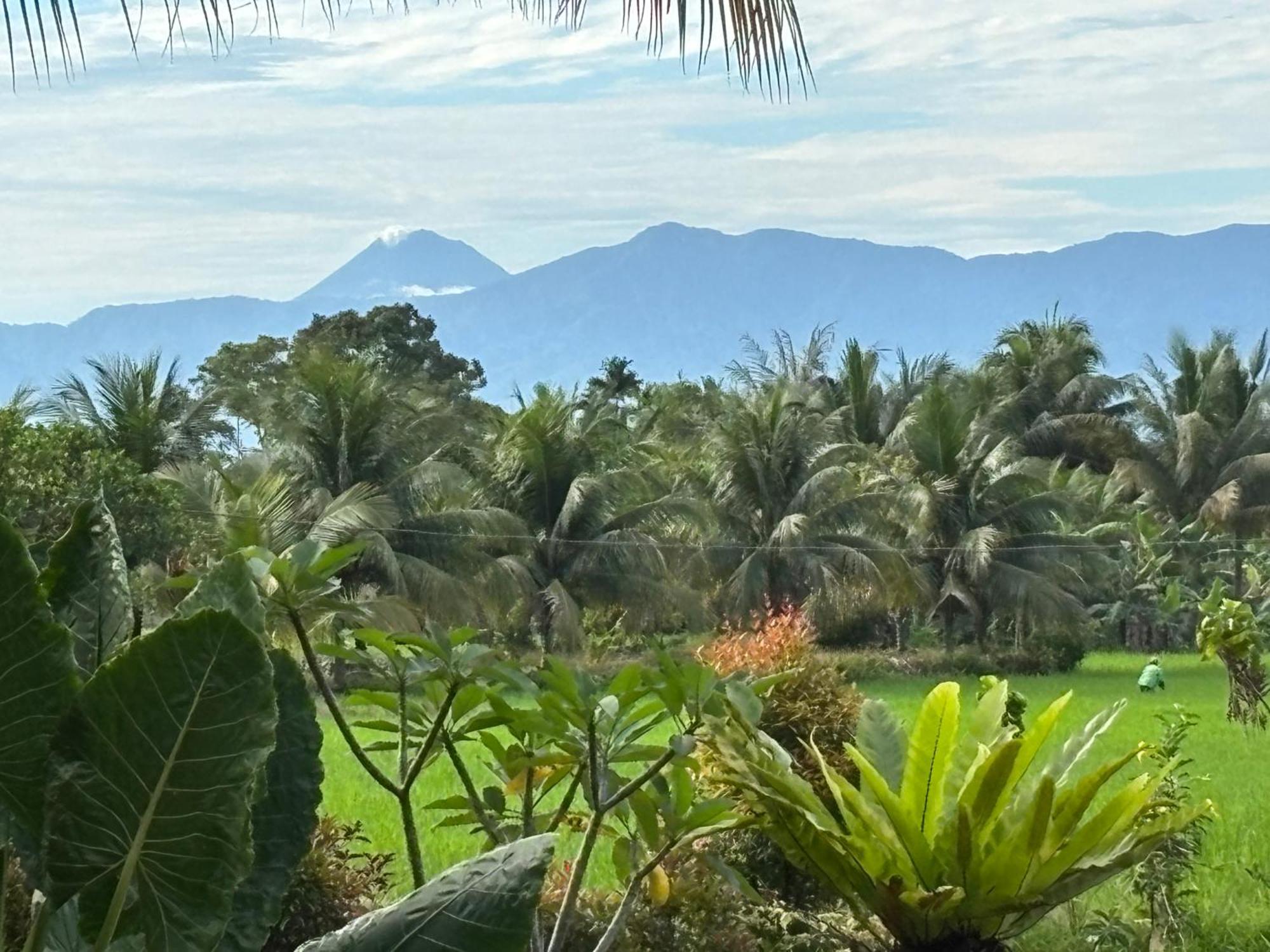 Sumatra Expedition Lodge بوكيت لاوانج المظهر الخارجي الصورة