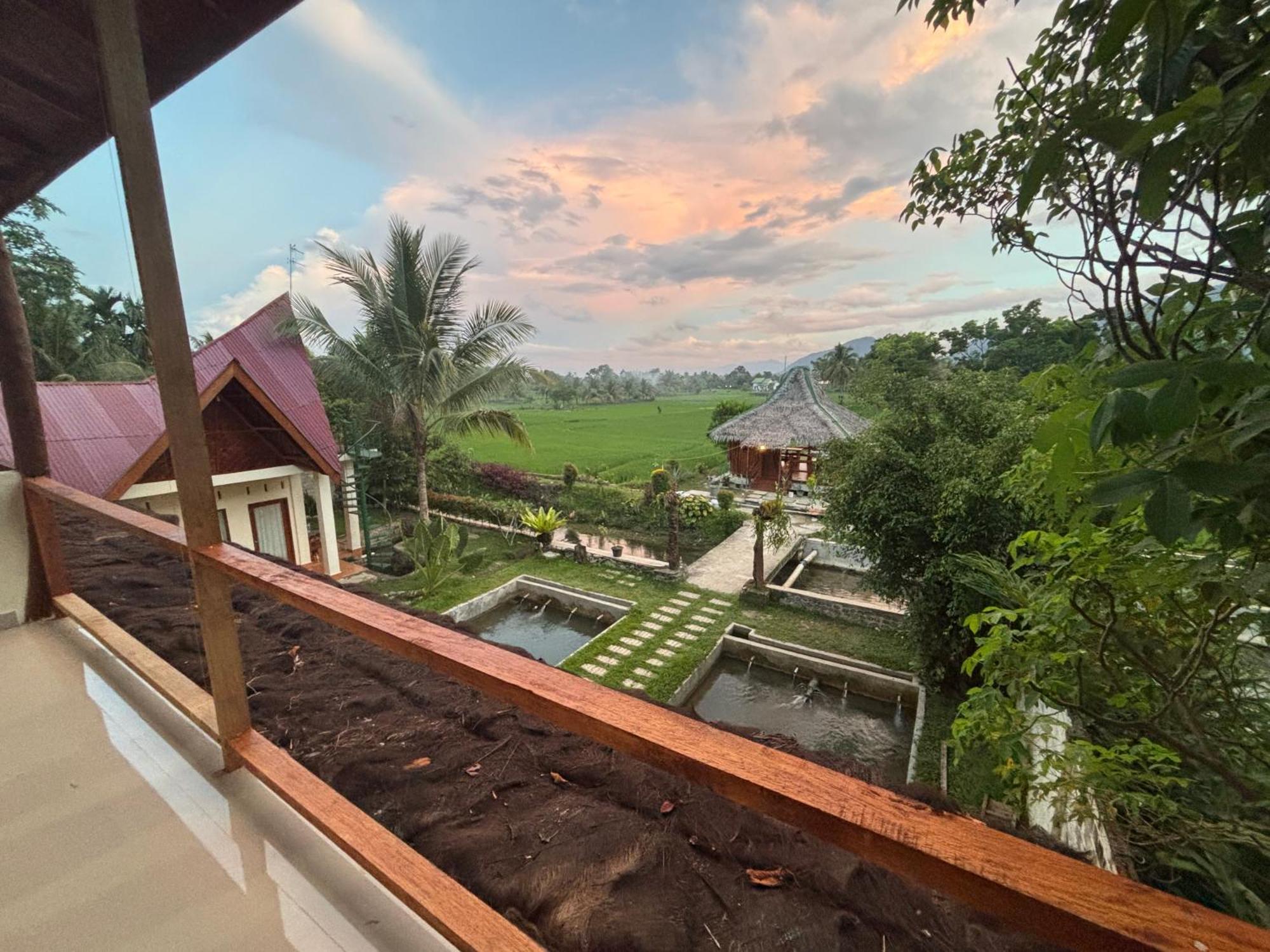 Sumatra Expedition Lodge بوكيت لاوانج المظهر الخارجي الصورة
