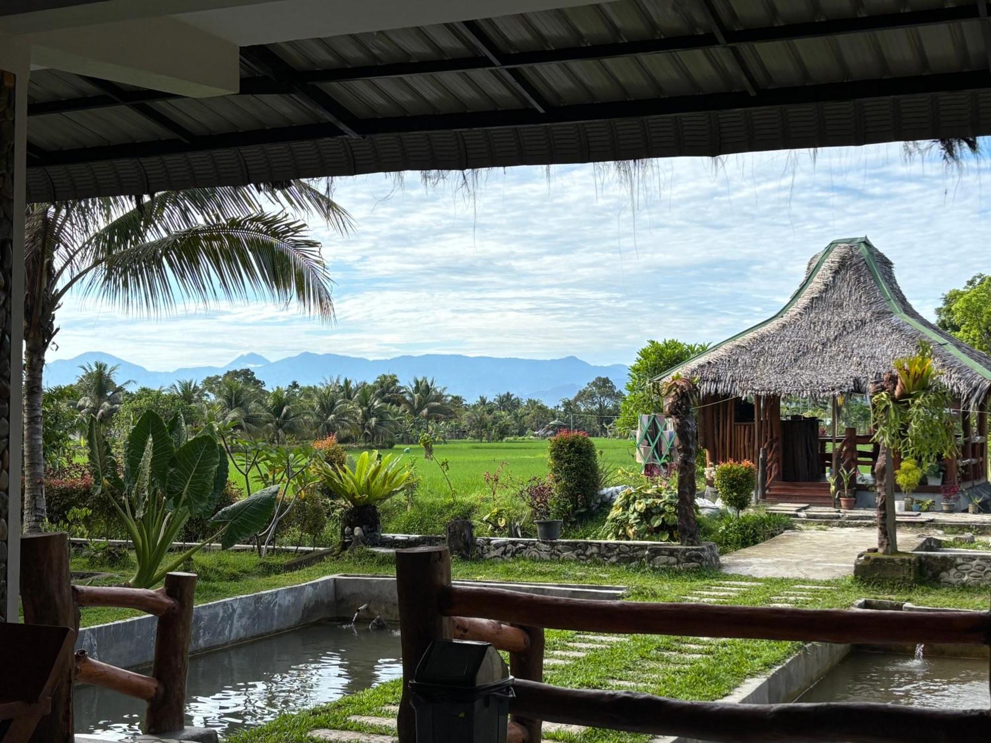 Sumatra Expedition Lodge بوكيت لاوانج المظهر الخارجي الصورة