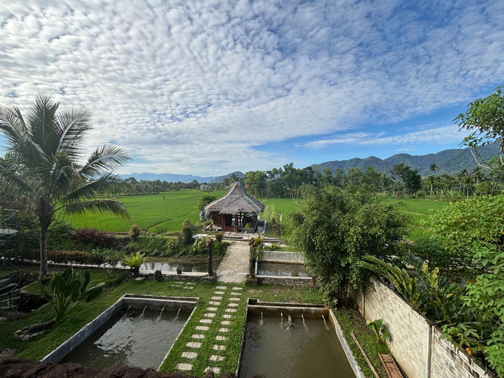 Sumatra Expedition Lodge بوكيت لاوانج المظهر الخارجي الصورة